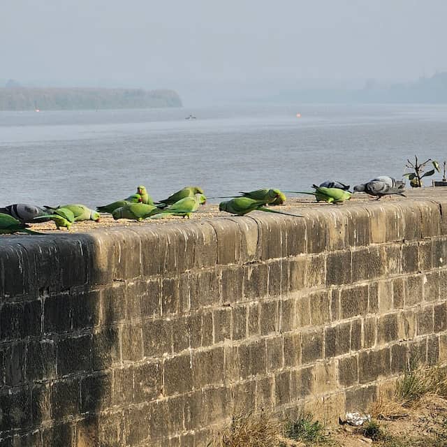 View point - Image 2