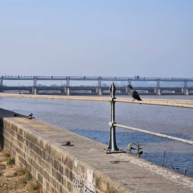 View point - Image 1