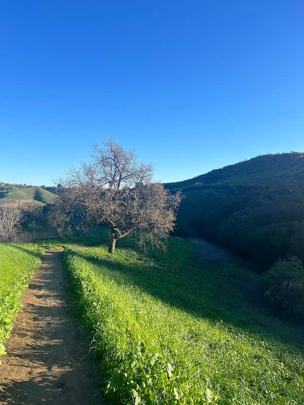 Calabasas Hidden Stairs - Image 2