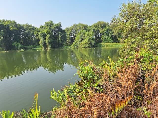River spot fishing - Image 1