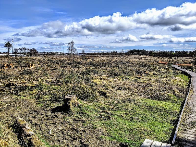 Langlands Moss Local Nature Reserve - Image 1