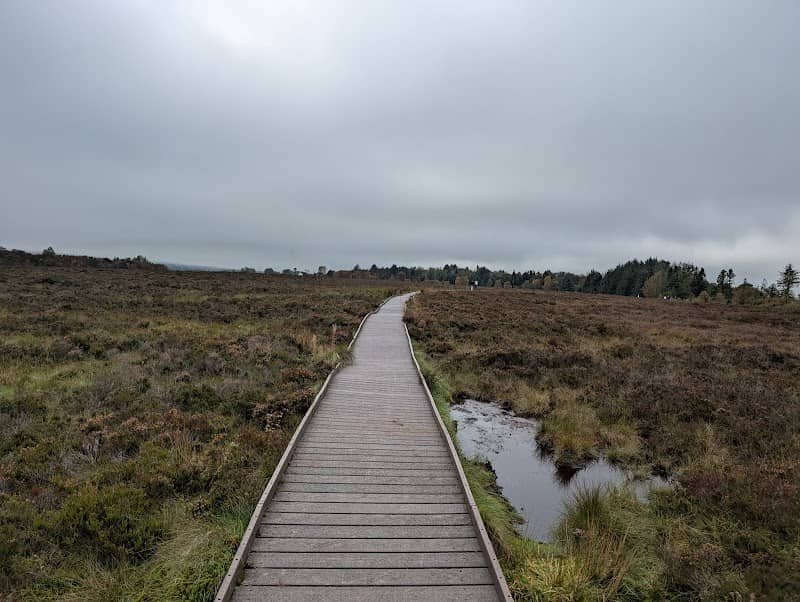 Langlands Moss Local Nature Reserve - Image 2