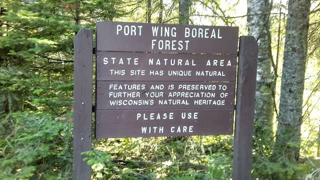 Port Wing Boreal Forest State Natural Area - Image 2