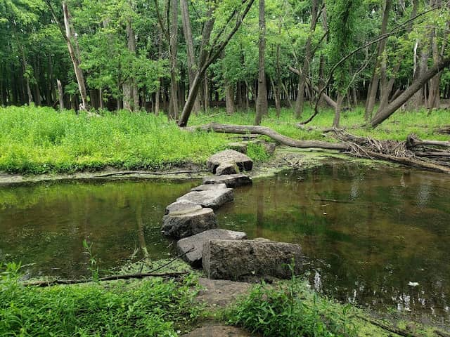 Minnesota Valley State Recreation Area - Image 3