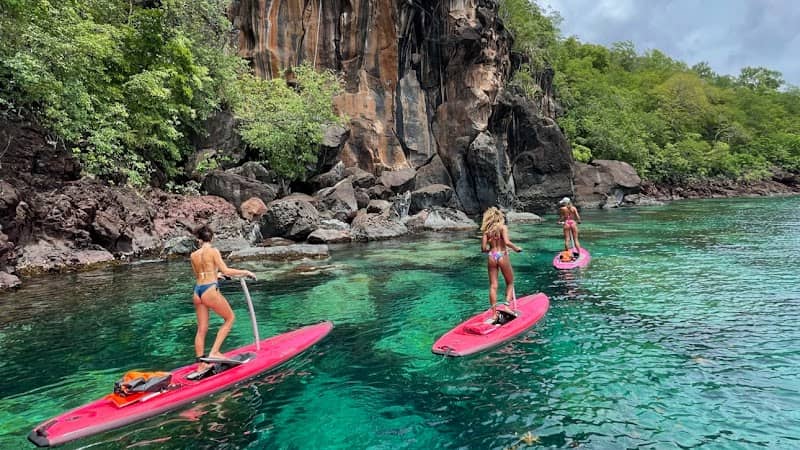 Caminagua Step Paddle - Image 1
