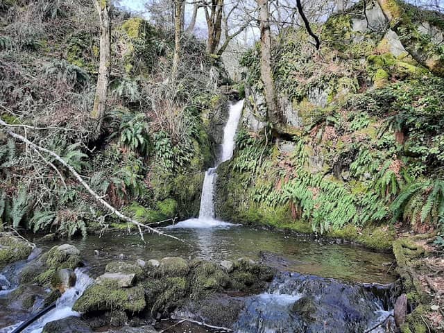 Pedder Bay Falls - Image 2