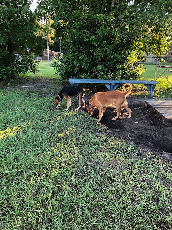 Apalachicola Dog Park - Image 2