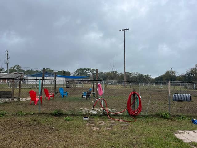 Apalachicola Dog Park - Image 1