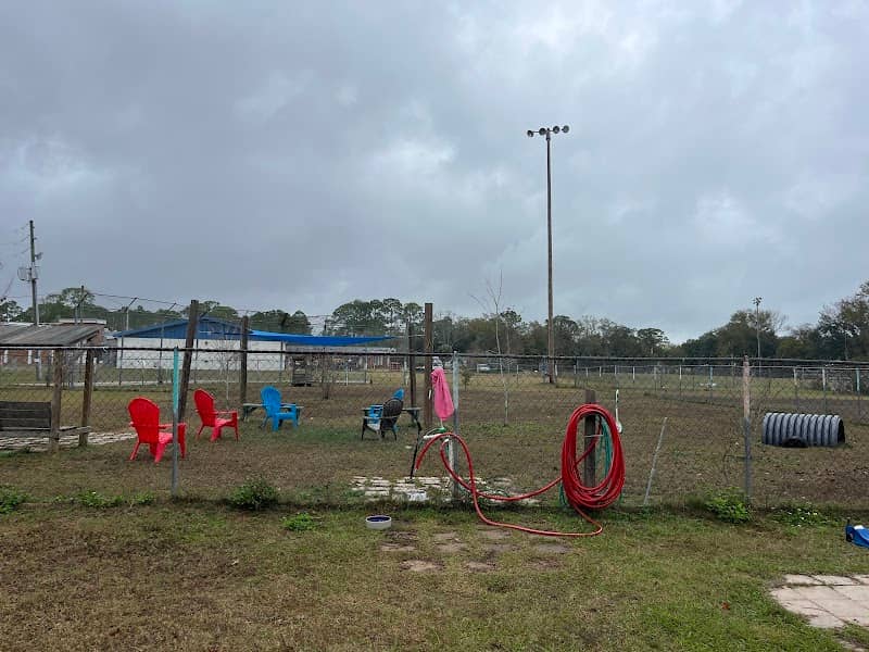Apalachicola Dog Park - Image 1