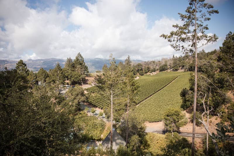 Forman Vineyard - Image 1