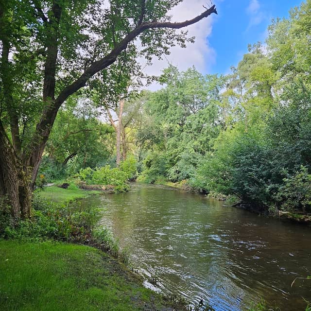 Centennial Park - Image 2