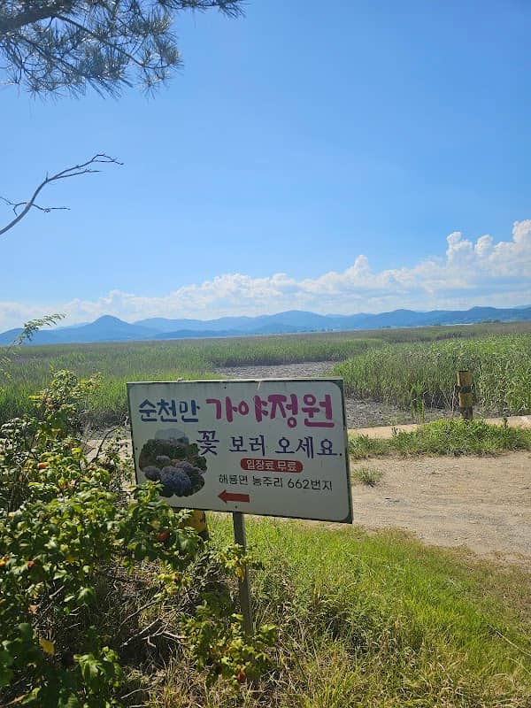 칠면초 군락지 - Image 3