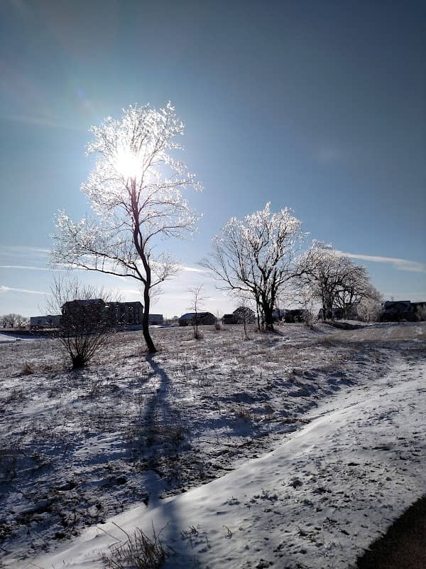 Quarry Hill Park - Image 2