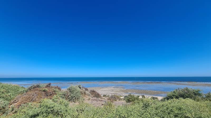 Snapper Point - Image 1