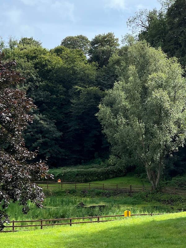 Quarry Garden - Image 2