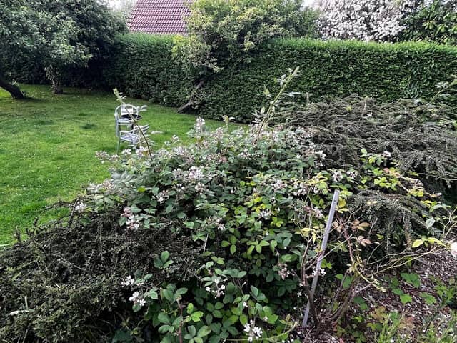 Monarfon Holiday Cottage - Image 1