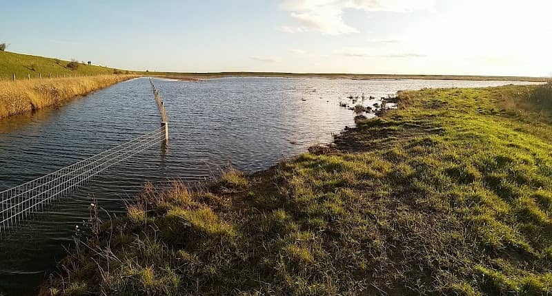 Mouth of Rivers Haven & Welland - Image 2
