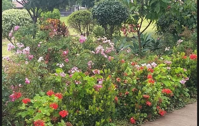 Jardim do Seu Tomé - Image 1