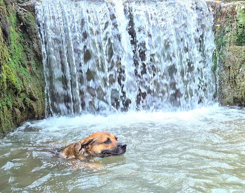 Kleiner Gültsteiner Wasserfall - Image 1