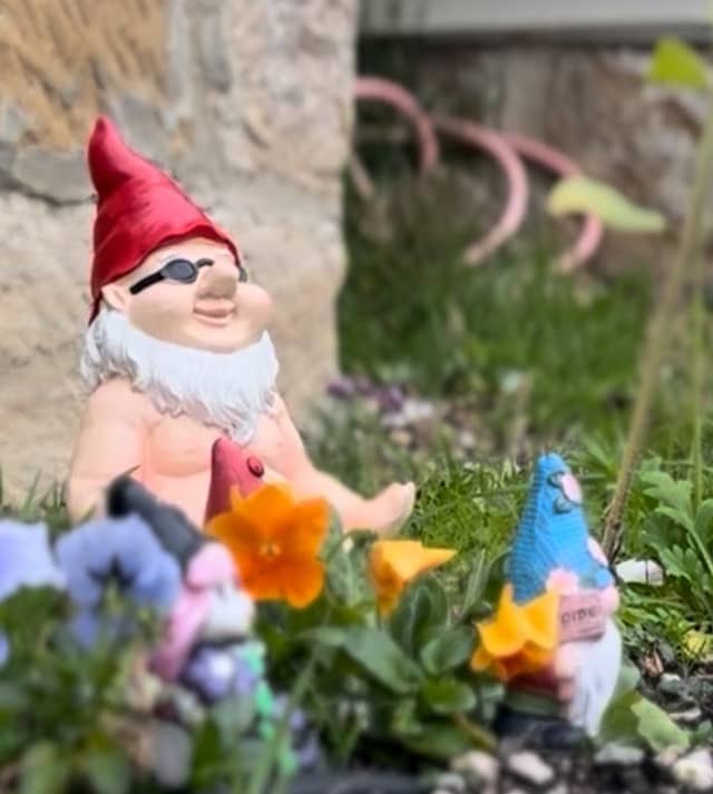 West Gnomebart - Image 2