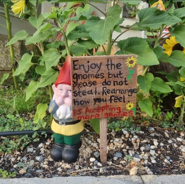 West Gnomebart - Image 1
