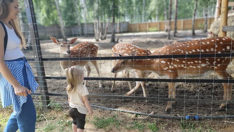 Zoopark - Image 1