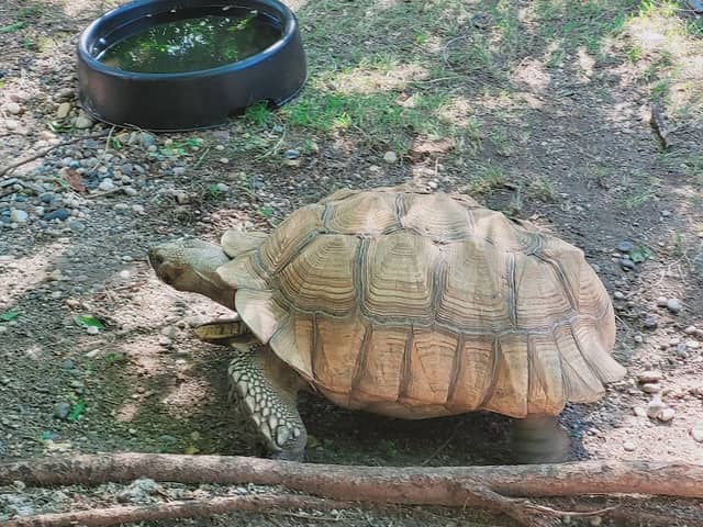 Westman Reptile Gardens - Image 2