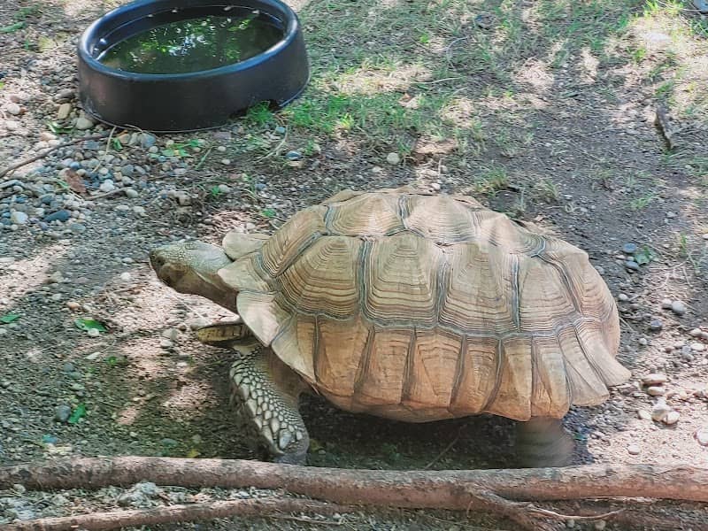 Westman Reptile Gardens - Image 2
