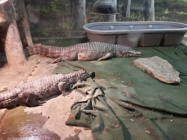 Westman Reptile Gardens - Image 1
