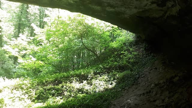 Gola del Savena - Image 2