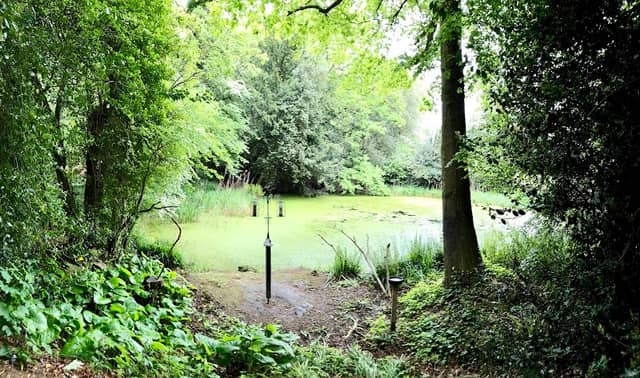 Bird Hide - Image 1
