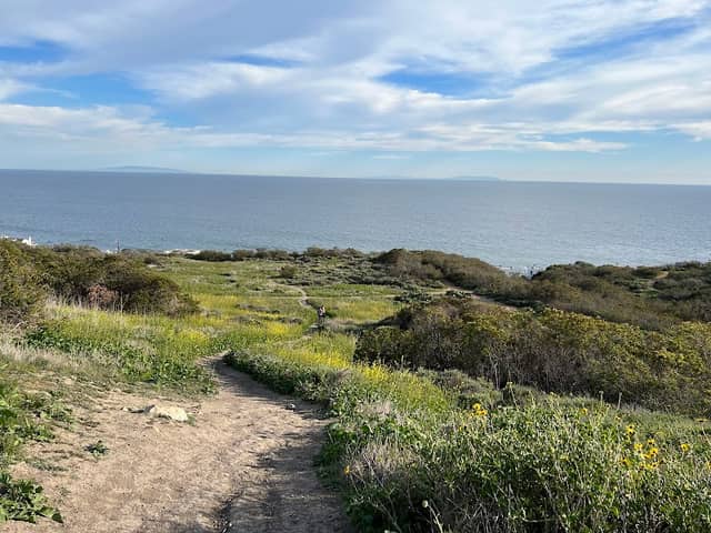 Malibu Bluffs Park - Image 4