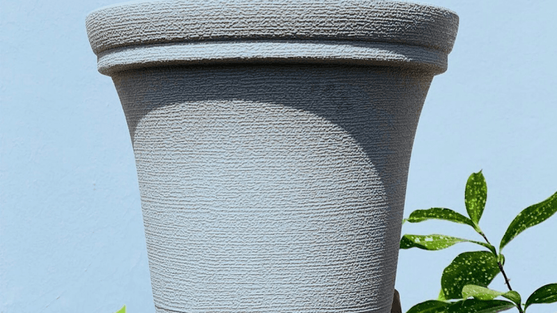 The Sporos Garden - Image 1