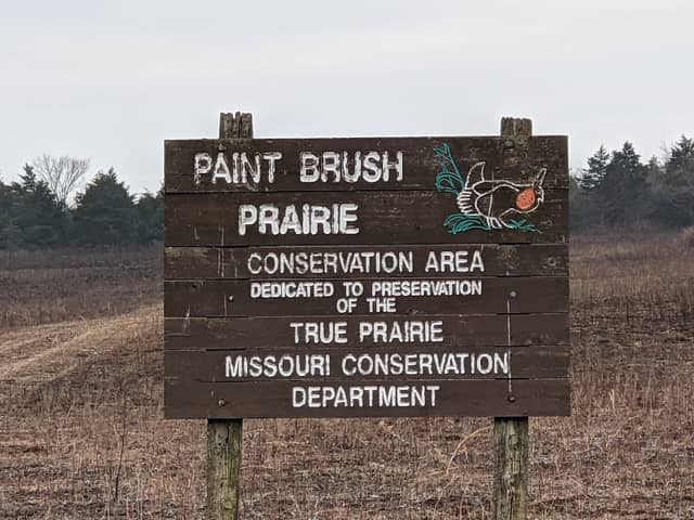 Paint Brush Prairie Conservation Area - Image 3