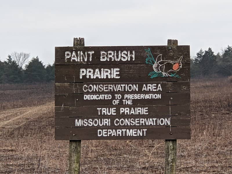 Paint Brush Prairie Conservation Area - Image 3