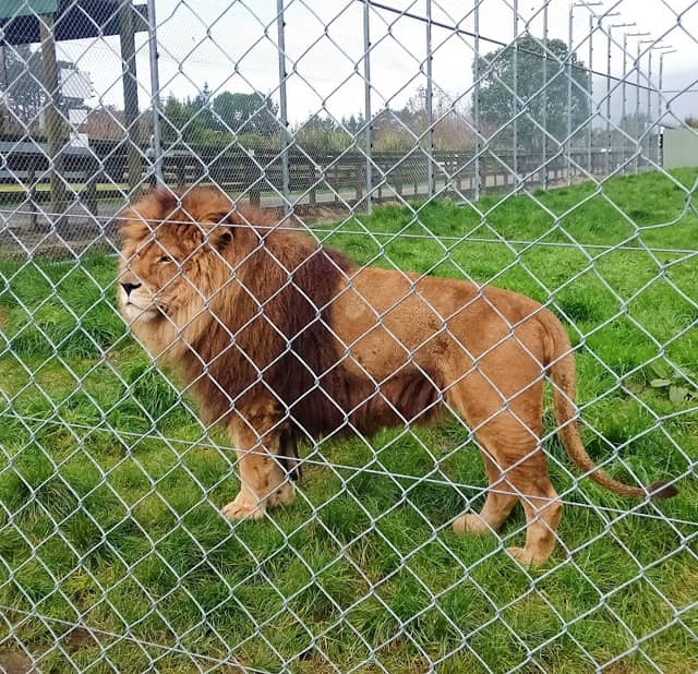 Pouakai Zoo - Image 2