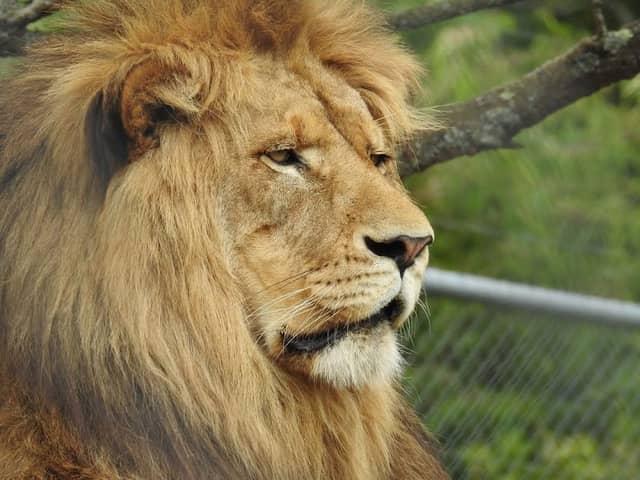 Pouakai Zoo - Image 1
