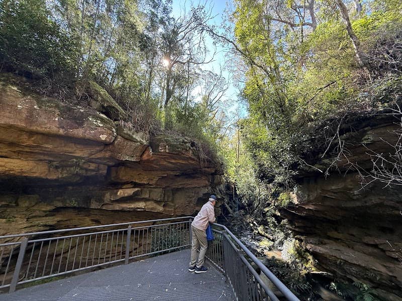 Glow Worm Glen - Image 1