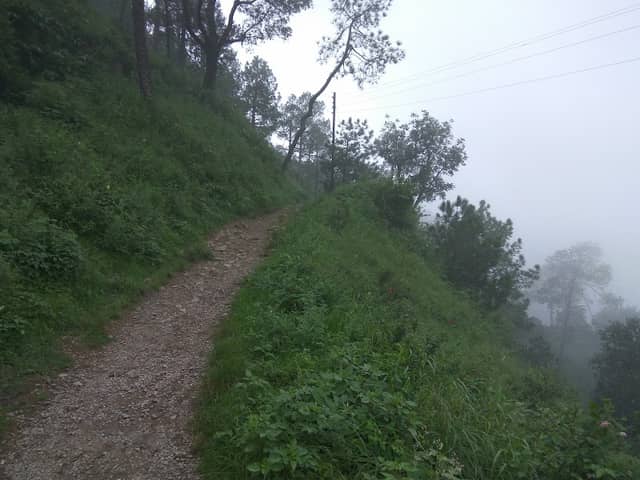Gilbert Nature Trail - Image 1