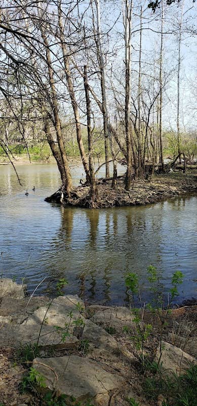 Dublin Spring Open Space - North - Image 1
