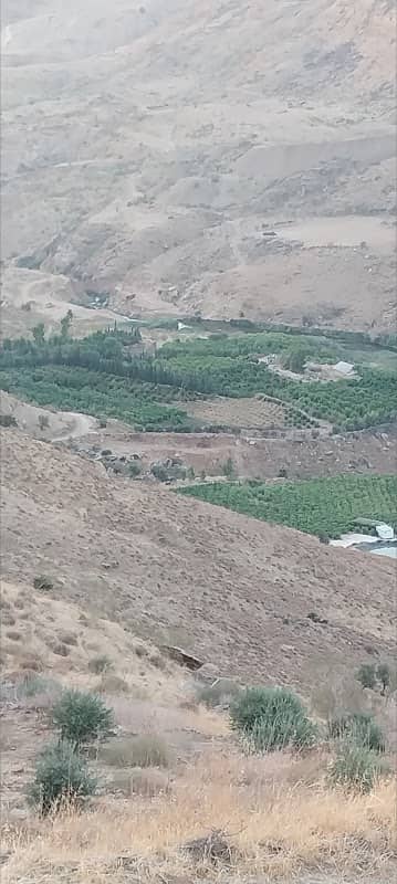 دوار ابو العجين عين الباشا - Image 1