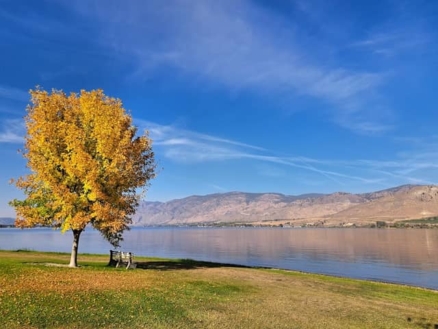 Deep Bay Park - Image 1