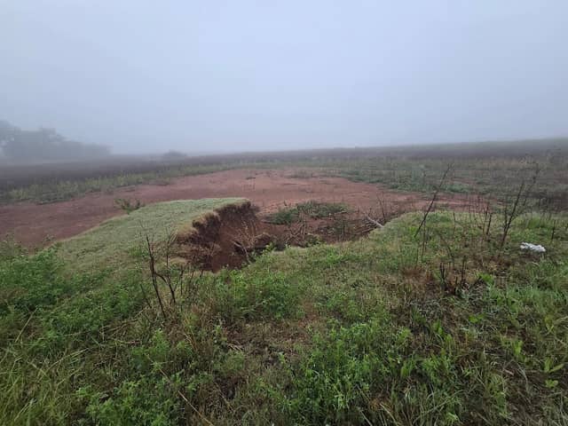 Cheney Wildlife Area- Christmas Tree Cove - Image 2