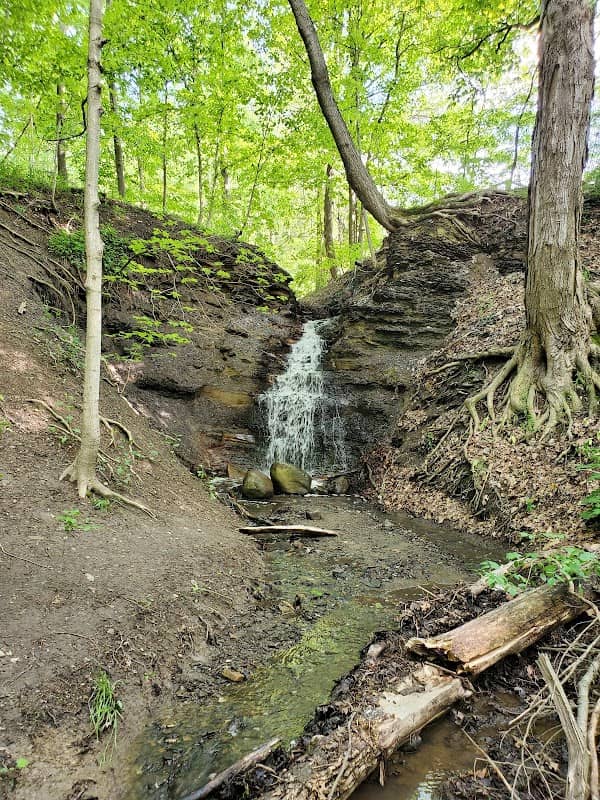 Huron County Nature Trails and Land Lab - Image 2