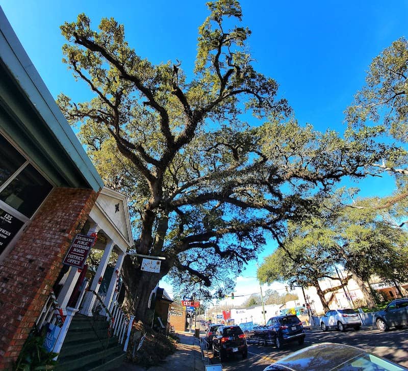 Opelousas Historic District - Image 2