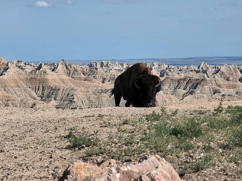 Badlands Wilderness Overlook - Image 1