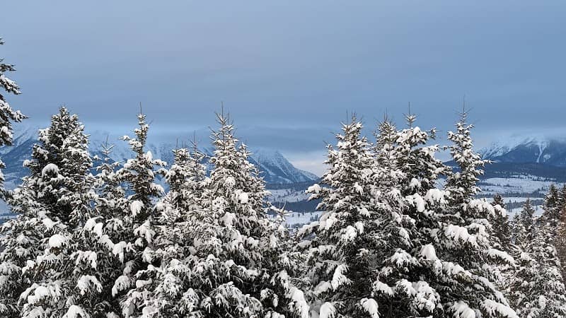 Tamarack Hills Ventures Inc - Image 1