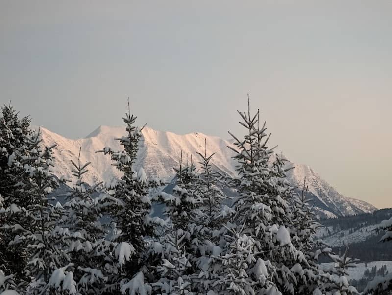Tamarack Hills Ventures Inc - Image 2