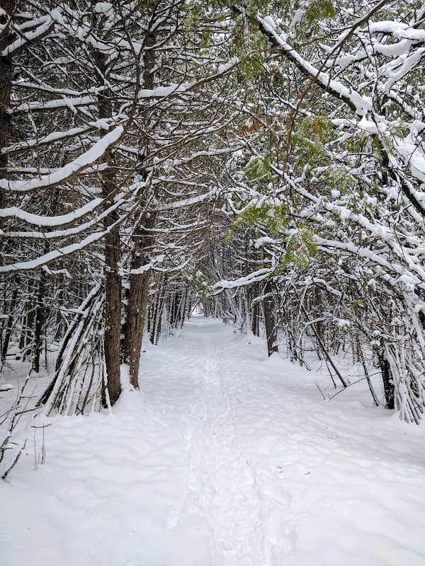 Robmar Park - Image 1