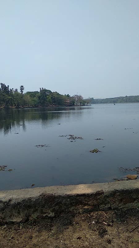 Nandankanan Kanjia Lake - Image 2